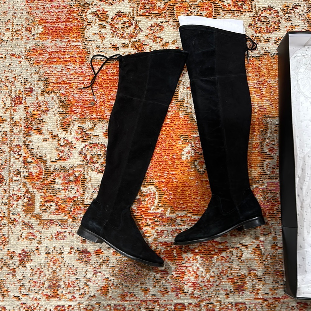 Dolce vita tall suede boots